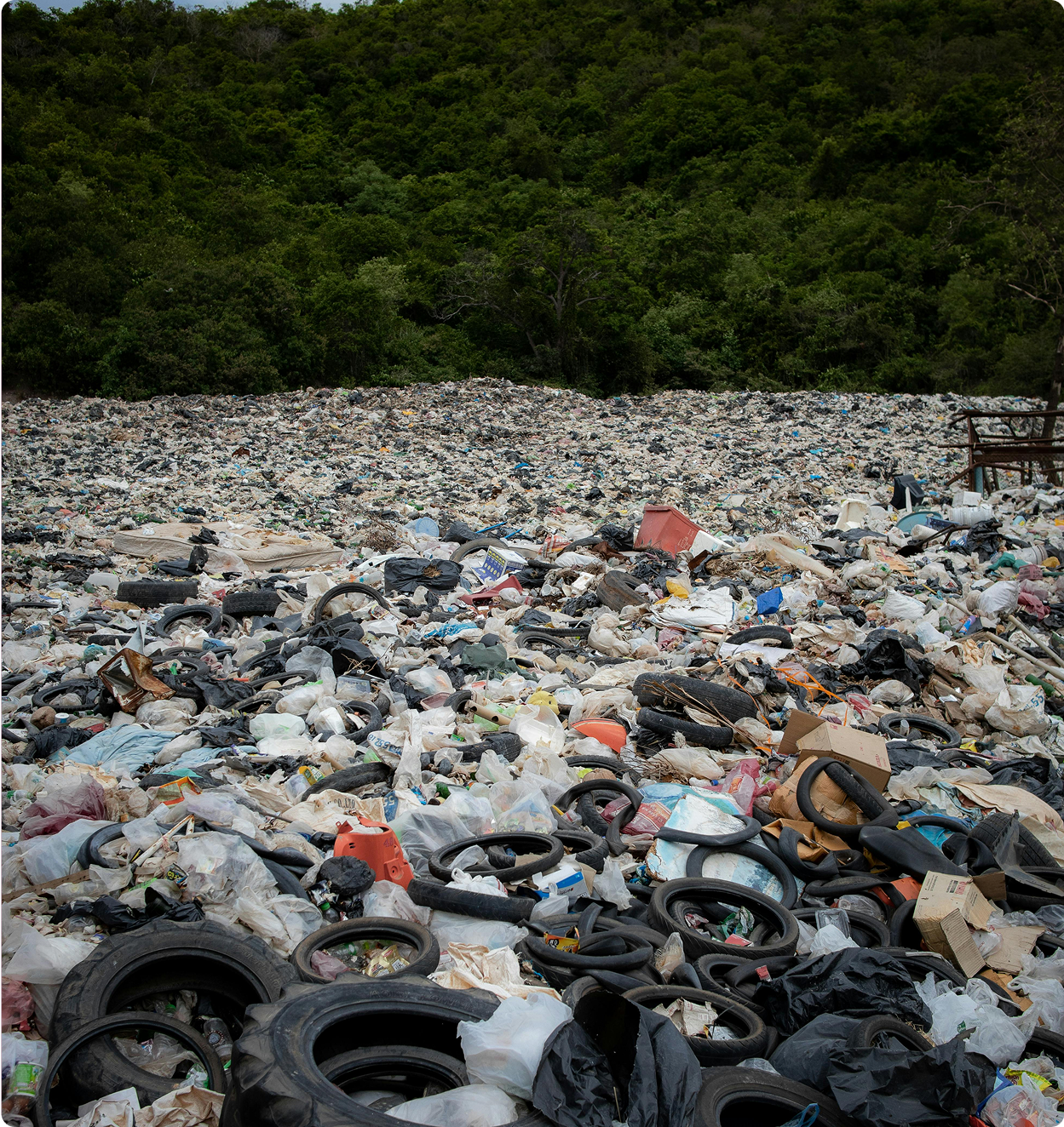 Nushu Period Underwear